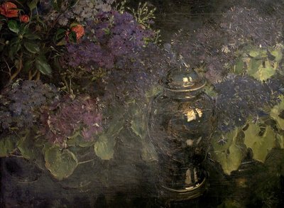 Cinerarie da William Bruce Ellis Ranken